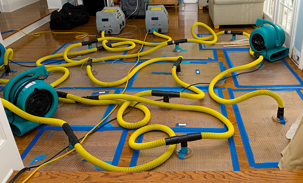 Professional Basement Flood Cleanup technician working in Farmer, OH